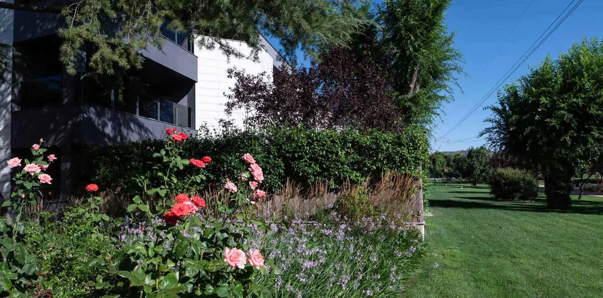 Gran jardín de Lagos Park con muchos árboles y flores como rosas en día soleado.