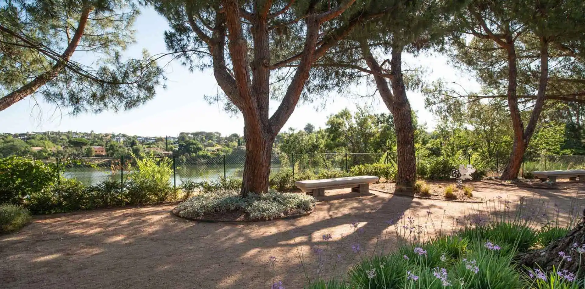Vistas al pantano desde el jardín de Lagos Park, en la imagen hay un banco de piedra en un día soleado.