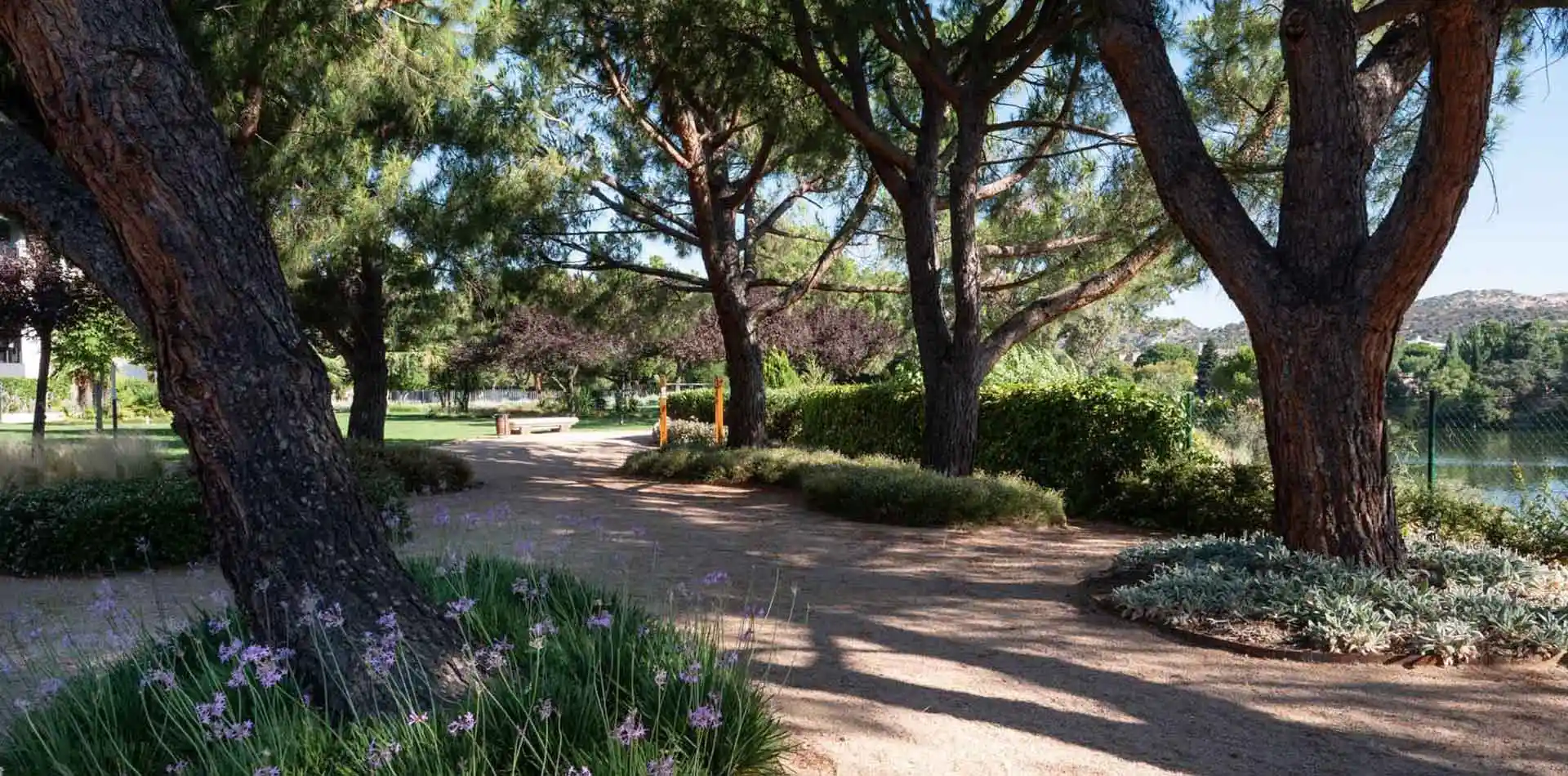 Circuito perimetral en el jardín de Lagos Park. Árboles y vegetación en día soleado.